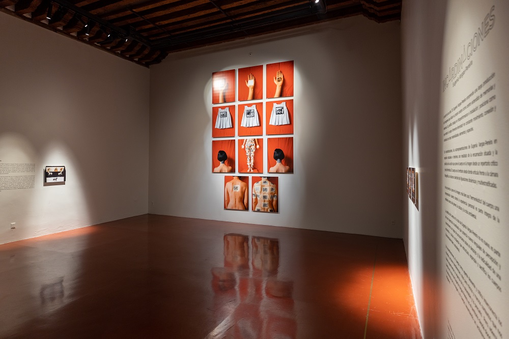 Incardinaciones, Eugenia Vargas-Pereira (1977-2013) Centro de la Imagen, México.